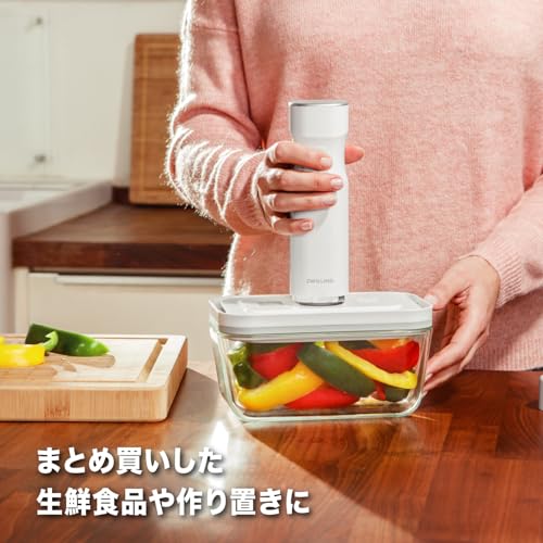 ZWILLING ツヴィリング 「 フレッシュ & セーブ 真空パック機 本体 」真空 ポンプ 保存 (日本正規販売品)Fresh Save 36801-000 中間 画像