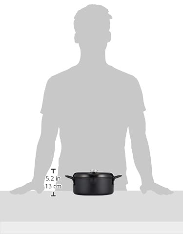 【BLKP】 パール金属 つや消し 天ぷら鍋 20cm 限定 ブラック 鉄製 温度計付 BLKP 黒 AZ-5037 中間 画像