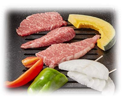 シルクルーム 高級 焼肉ロースター王者 Y-18T 13Aの特徴・詳細 画像