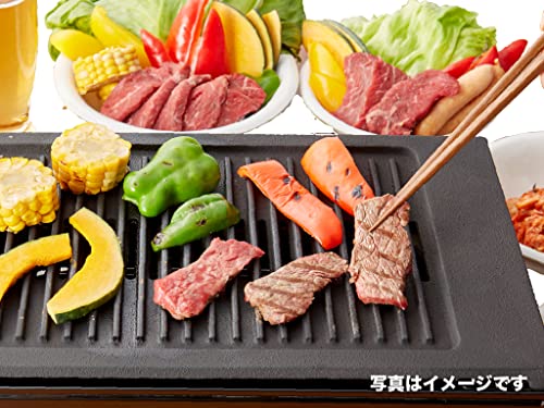 シルクルーム 高級 焼肉ロースター王者 Y-18T 13Aの特徴・詳細 画像