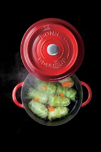 イシガキ 両手鍋 鉄鋳物 ボン・ボネール ココット ガス火 IH 兼用 レッド 22cmの特徴・詳細 画像