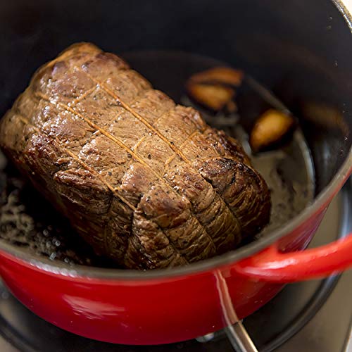 グッドプラス (GoodPlus+) キャストポット 20㎝ レッド 鋳物ホーロー鍋 無水調理 蒸気循環 外面ホーロー加工 内面特殊マットホーロー加工 ステンレスつまみ レシピブック付き IHオール熱源対応の特徴・詳細 画像